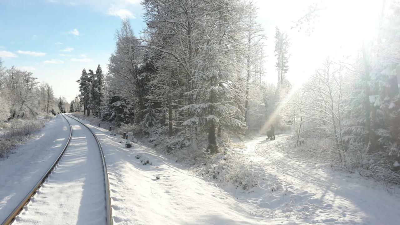 Tatry Fimali Διαμέρισμα Tatranská Lomnica Εξωτερικό φωτογραφία